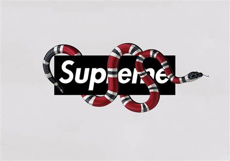 gucci and supreme background